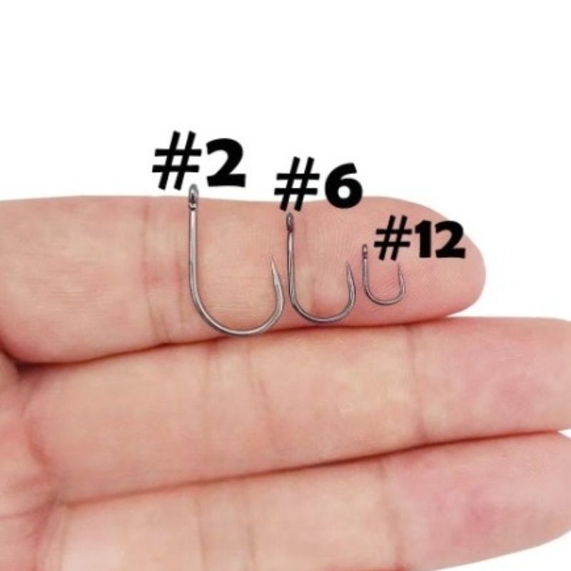 خطافات صيد سمك الشبوط، دائرية  - مراجعة Fishing Hook Circle وسعره